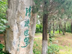 -云岗森林公园