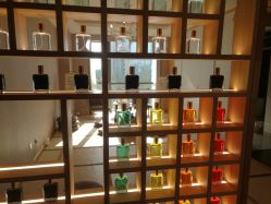 -彩虹之门健康管理