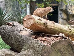 -天秀花园古月园