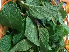 薄荷叶-抚仙湖生态石锅鱼野生菌(告庄店)