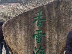 -香雪海