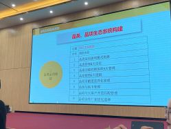 -凡碧诗毛孔清洁收细