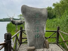 -溱湖国家湿地公园