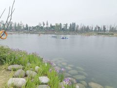 -白鹭湾湿地公园