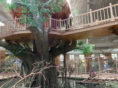 -南宫五洲植物乐园