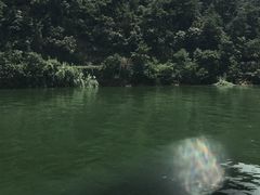 -千岛湖城中湖游船码头