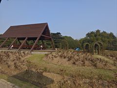 -上海滨江森林公园
