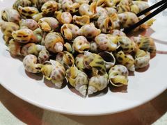 花螺-阿拉斯加·海货(马王堆店)