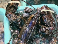-鑫悦楼煎蟹·16年海鲜大排档