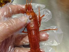 -狮龙啤酒烧烤屋(建二路店)