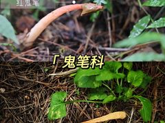 -灵山