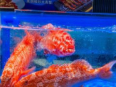 -滋粥楼·顺德菜(番禺广场总店)