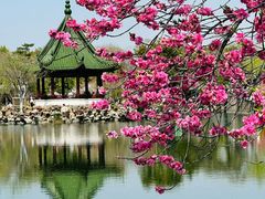 -无锡蠡湖国家湿地公园-蠡园