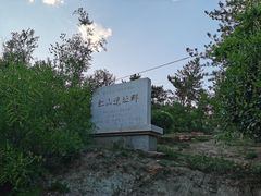 -红山国家森林公园