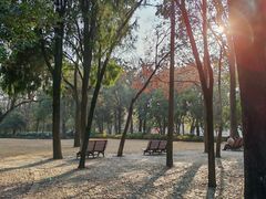 -汇龙潭