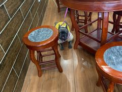 -赵记传承·中式甜品(珠海香洲柠溪大道店)