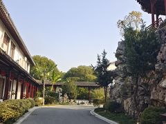 -八大山人梅湖景区