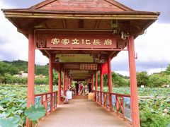 -红山村