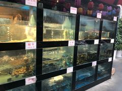 水产区-院8里·少城记忆老川菜(宽窄巷子店)