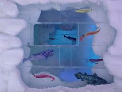 -世界之窗阿尔卑斯冰雪世界