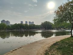-太阳宫公园