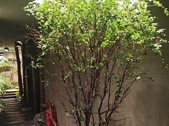 -森SPA·泰式按摩·精油Massage(宝安中心店)