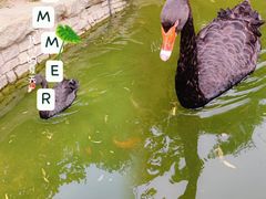 -三里河公园