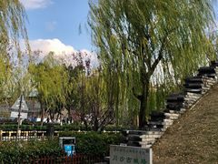 -川沙古镇-停车场