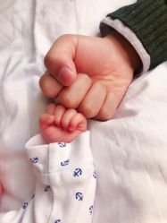 -海豚湾高端月子会所(黄浦店)