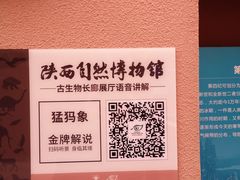 -陕西自然博物馆