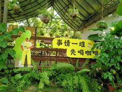 -兴隆隆苑咖啡庄园