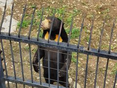 -石家庄市动物园