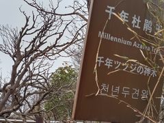 -王顺山国家森林公园