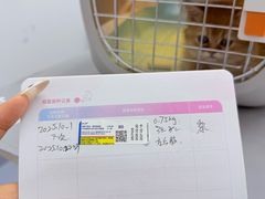 -宠物星动物医院·眼科·异宠·猫科(江南大道总院)