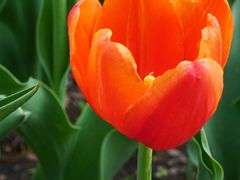 -长春公园(普阳街道)