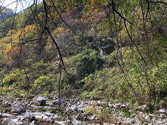 -秦岭风景区
