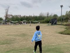 -上海长兴岛郊野公园