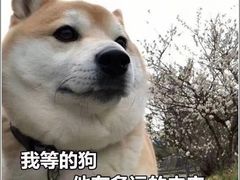 -汪说·狗咖(旺城大厦店)