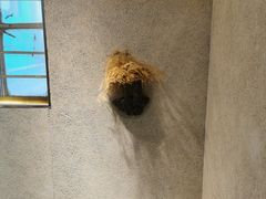 -马三洋芋片(兰州总店)