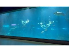 -福州罗源湾海洋世界旅游区