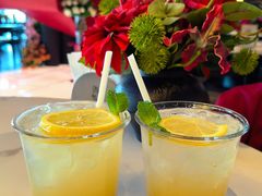 -LE COQ大公鸡小酒馆(北京首店)