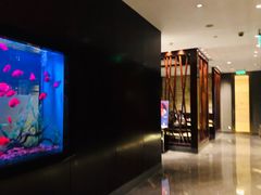 -九洲喜来登酒店湖月日餐厅