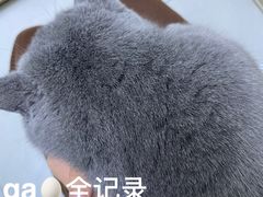 -瑞派宠物医院(锦江店)