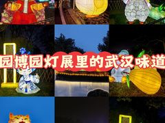 -武汉园博园(武汉自然博物馆)