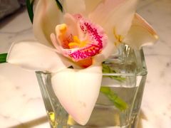 桌子花-上海雅居乐万豪侯爵酒店