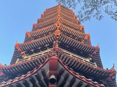 -红花山公园