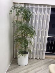 点击看大图 -HEYAN荷妍专业脱毛连锁机构