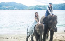 -四叶草环球旅拍