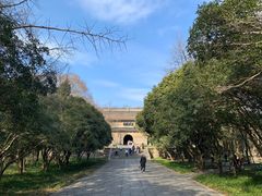 -灵谷景区