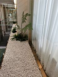 点击看大图 -铂诗玥医美